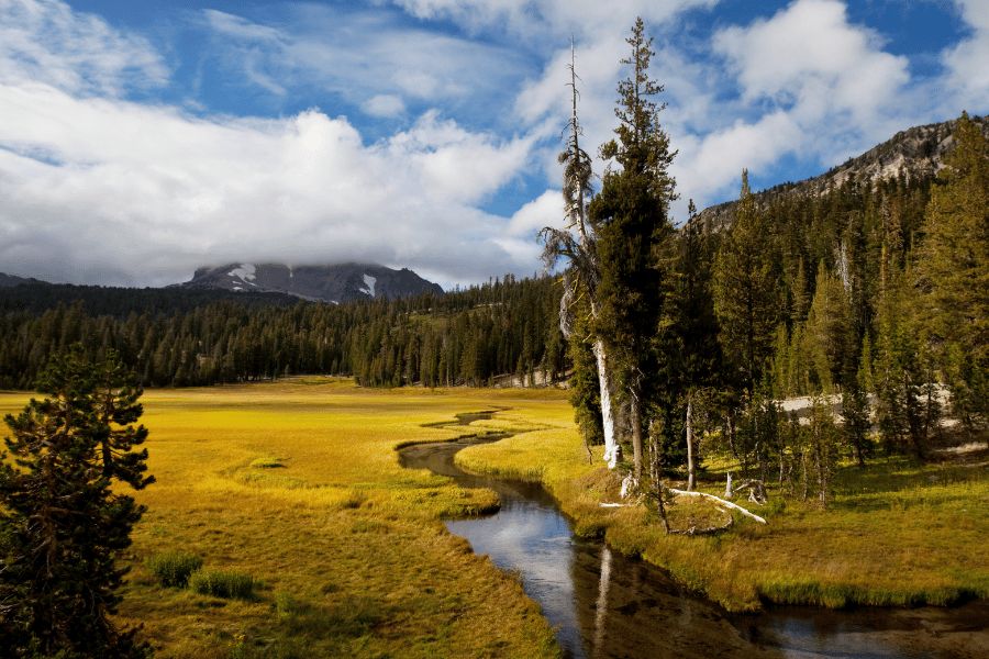 Río fluyendo entre un valle verde y bosques de pinos en el Parque Nacional Lassen Volcanic (Estados Unidos).