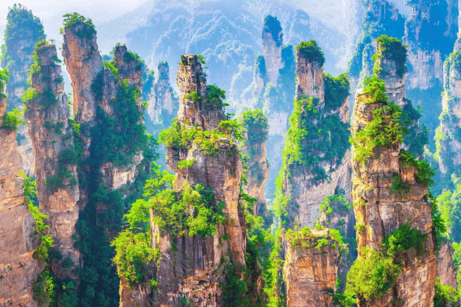 Zhangjiajie: Pilares de piedra arenisca cubiertos de vegetación erigiéndose hacia el cielo en Zhangjiajie (China).