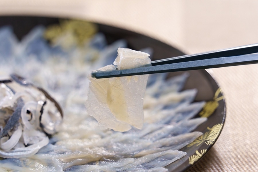 Unos palillos negros sostienen una loncha fina y translúcida de pescado fugu sobre un plato decorado con más sashimi dispuesto en abanico.