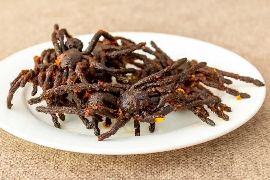 Varias tarántulas fritas de tono oscuro reposan servidas en un plato blanco sobre una superficie textil neutra.
