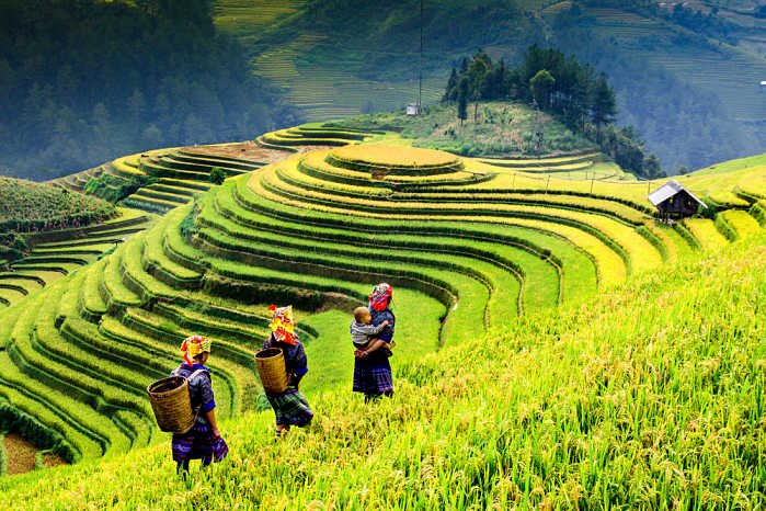 Vietnam y Camboya en 15 días Sapa