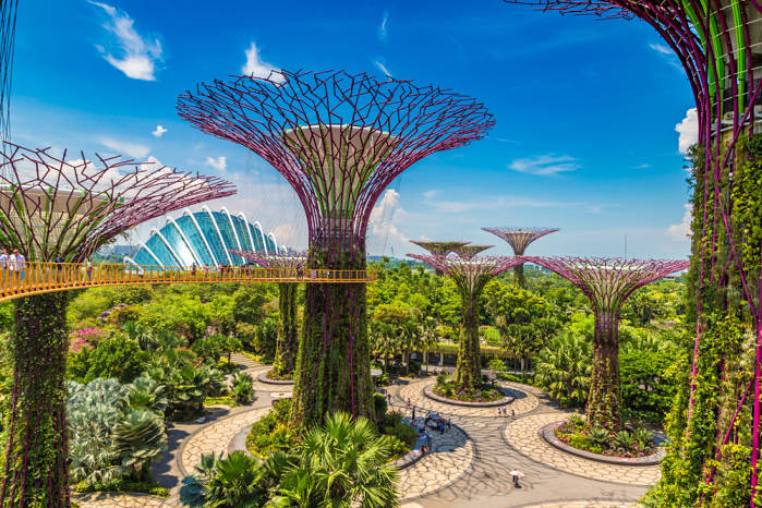 Gardens by the bay Singapur
