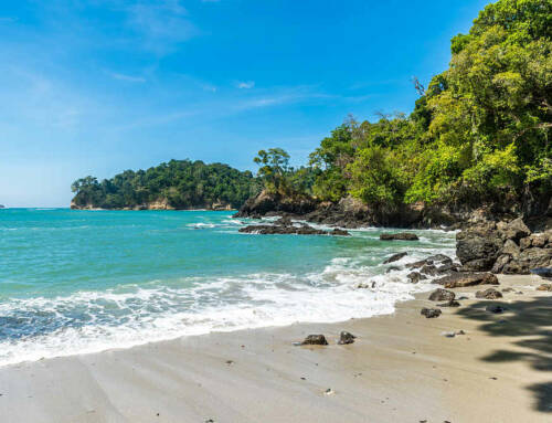 ¿Cuáles son las mejores playas de Costa Rica? 7 playas de ensueño