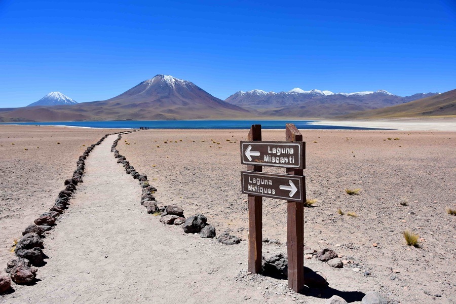 Un cartel de madera señala el camino de tierra hacia una laguna azul, rodeada por un extenso llano desértico y montañas nevadas bajo un cielo despejado. Texto en la imagen: "Laguna Miscanti", "Laguna Miñiques".