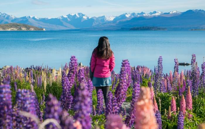 Working Holiday Visa Nueva Zelanda