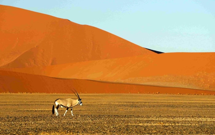 parque Namib-Naukluft