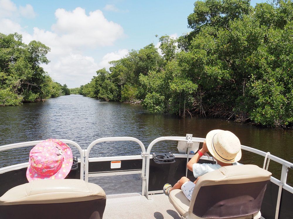 Everglades en Estados Unidos viajando con niños
