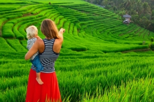 Visitar campos de arroz en Bali con niños