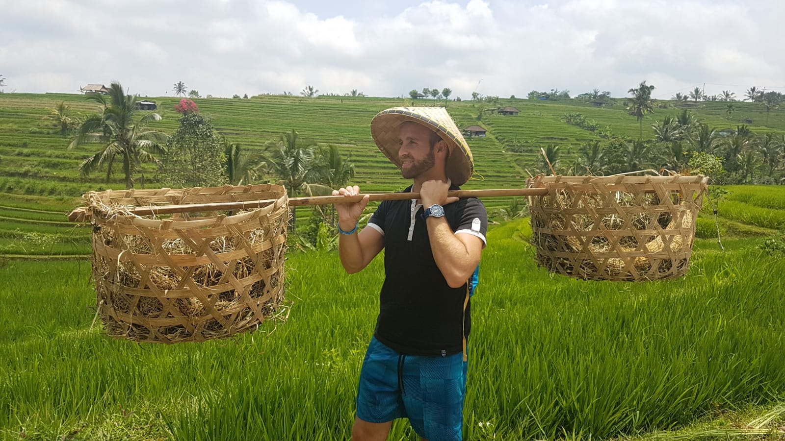 Campos de arroz Bali