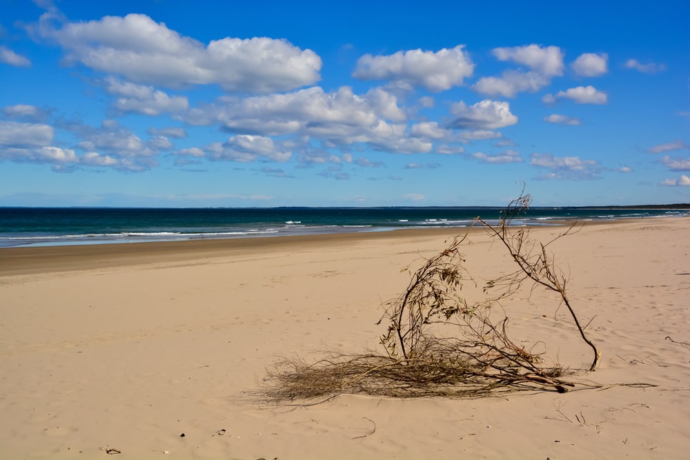Seven Mile Beach una de las playas mas largas de Australia