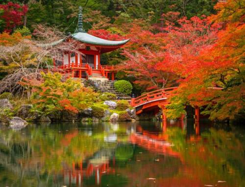 El Momiji: el colorido otoño en Japón