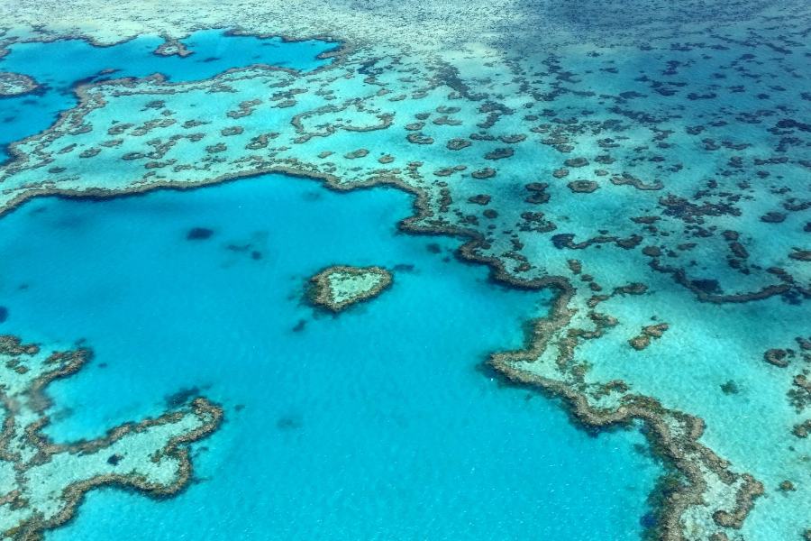 Gran Barrera de Coral, Queensland, Australia en un mar azul celeste con mucha claridad y un gran arrecife de corales