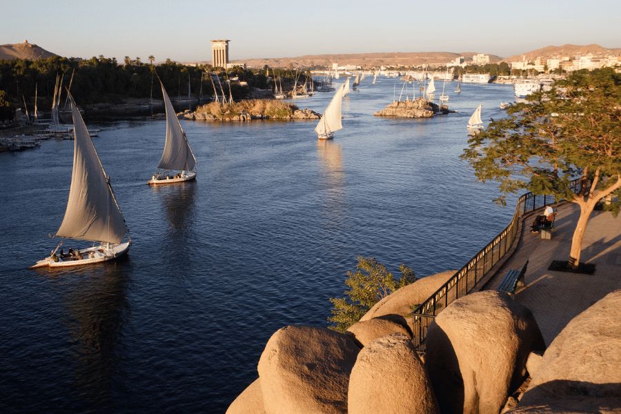 Varias falucas navegan por el río Nilo en Asuán, Egipto, al atardecer, con una orilla ajardinada y colinas desérticas al fondo.