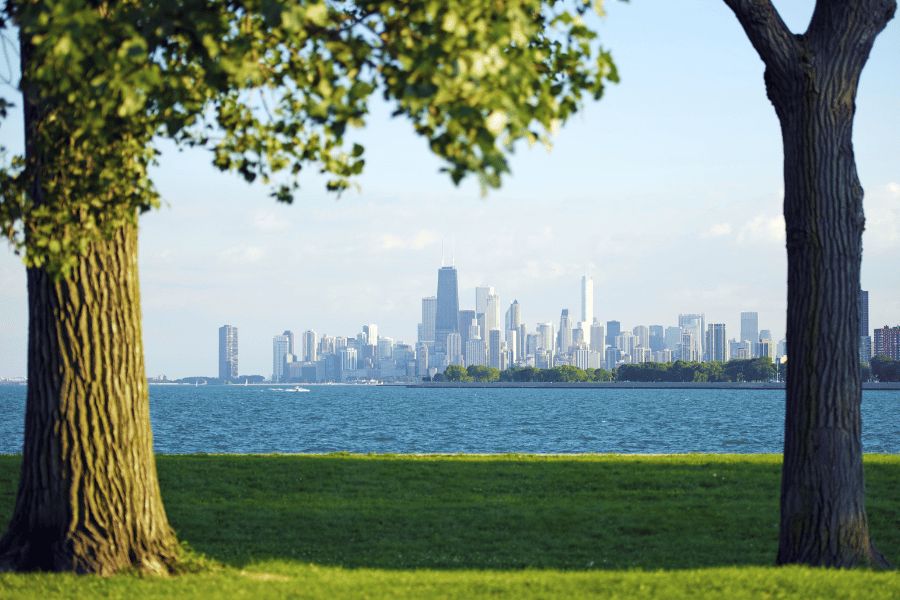Lago Míchigan: Silueta del horizonte urbano de Chicago vista desde el lago Míchigan a través de dos árboles.