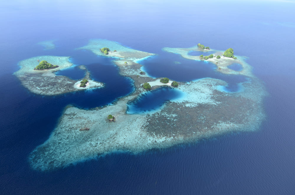 Arrecifes de coralino