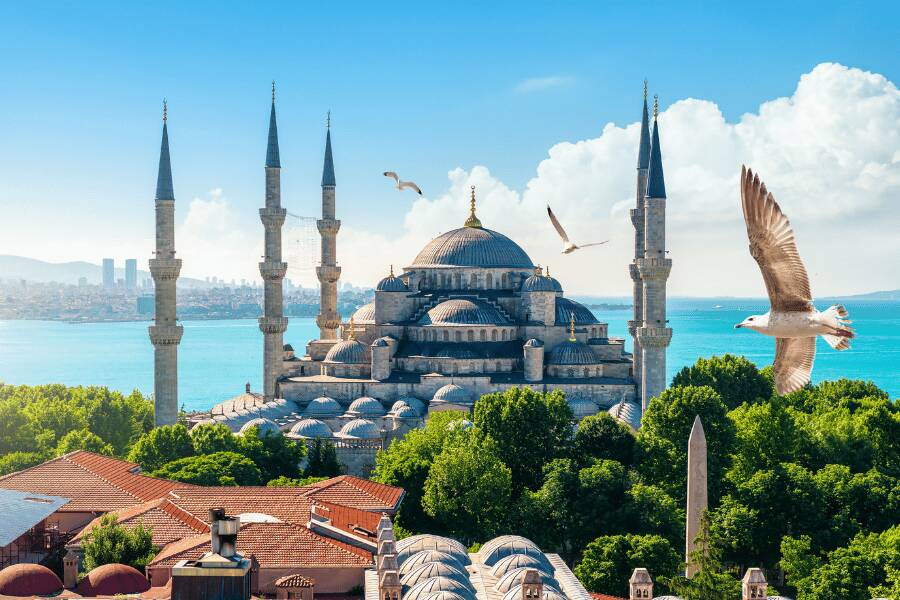 Una majestuosa mezquita con múltiples cúpulas y minaretes se alza junto al agua con aves volando cerca. Mezquita Azul, Turquía
