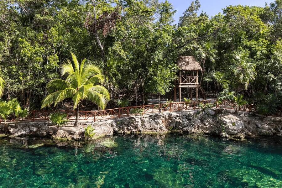 Un estanque natural de agua turquesa se extiende bajo la sombra de una densa selva verde y una pequeña cabaña de madera. "cenote azul" mexico