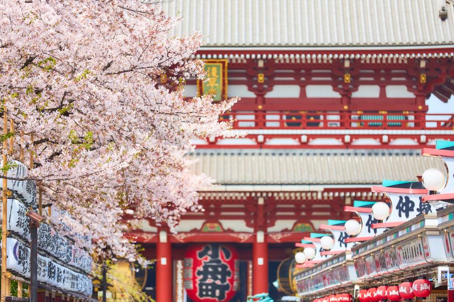 ver Japón en abril la época perfecta