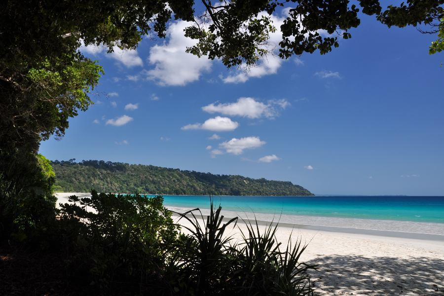 Costa virgen de arena blanca en Radhanagar Beach en la Isla Havelock de la India rodeada por una densa selva tropical tropical.