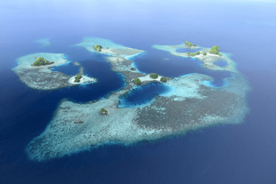 Arrecife coralino de Isla Daram en Raja Ampat, Indonesia 