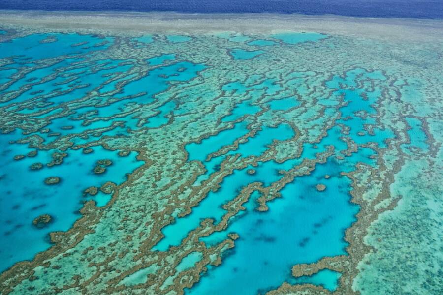 Gran barrera coralina en Australia