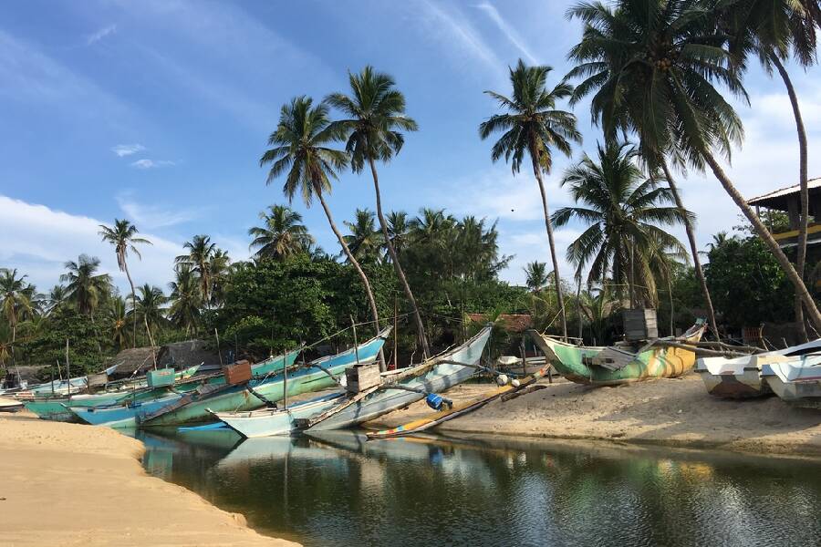 La bahía de Arugam en Sri Lanka es un lugar seguro 