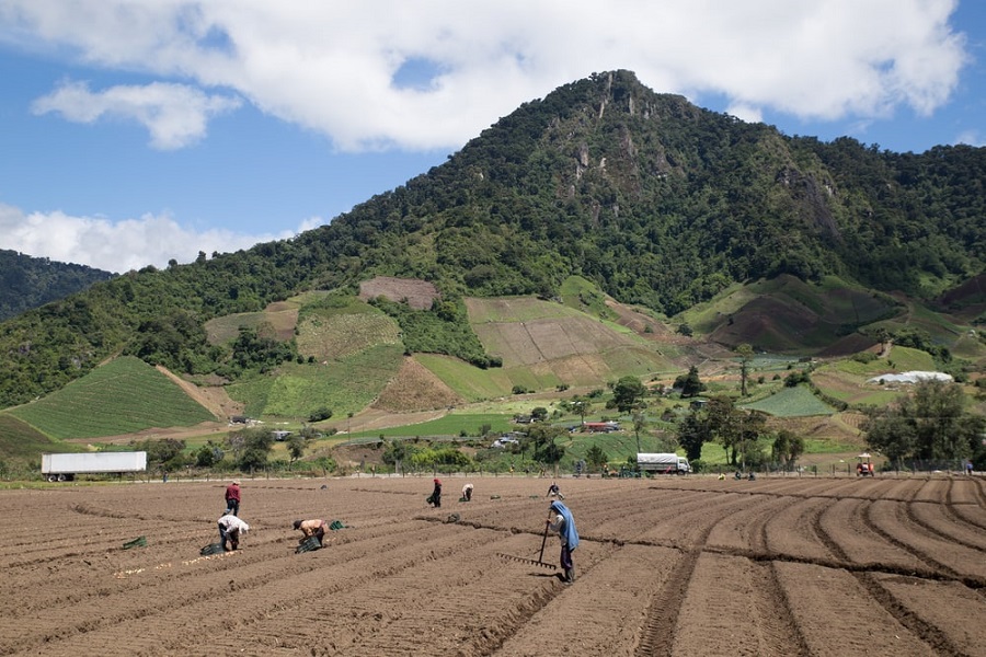 Zona agrícola del volcán Barú