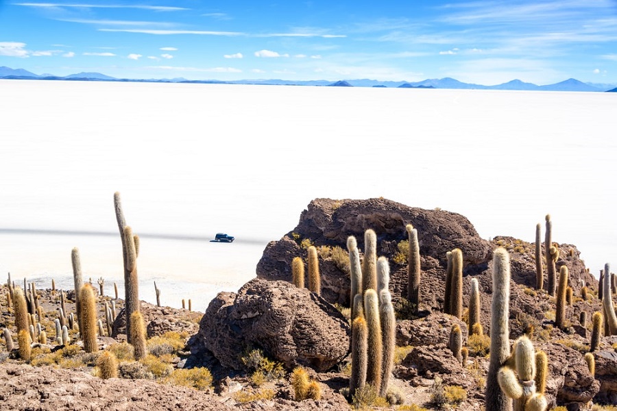 Isla Incahuasi en el Salar de Uyuni en Bolivia