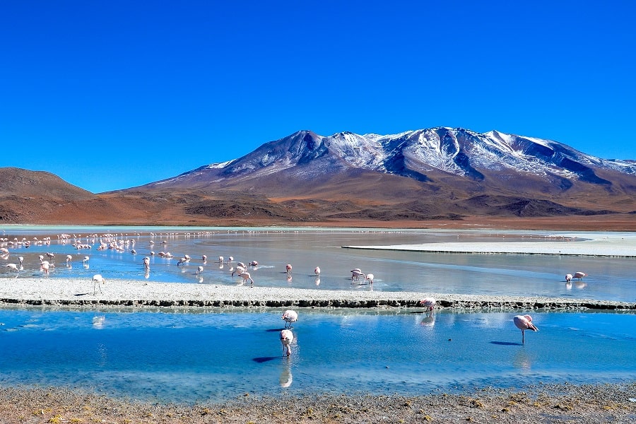 Reserva nacional de fauna andina Eduardo Avaroa