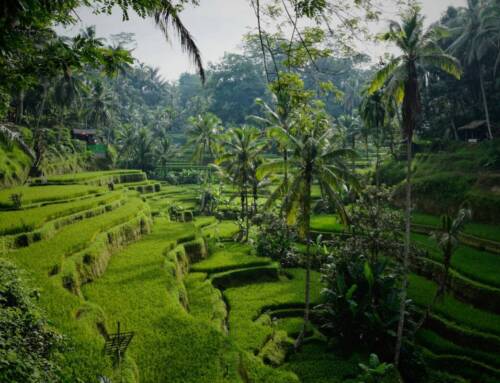 La guía completa de Bali: Todo lo que necesitas saber