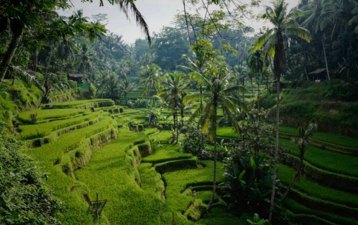 Todo lo que necesitas saber para viajar a Bali