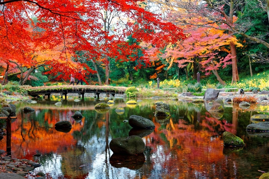 Estanque del jardín Koraku-en, Okayama, Japón