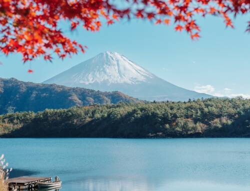 Qué ver en Japón: un país para soñar