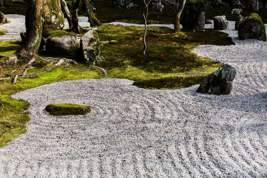 musgo en los jardines japoneses más bonitos