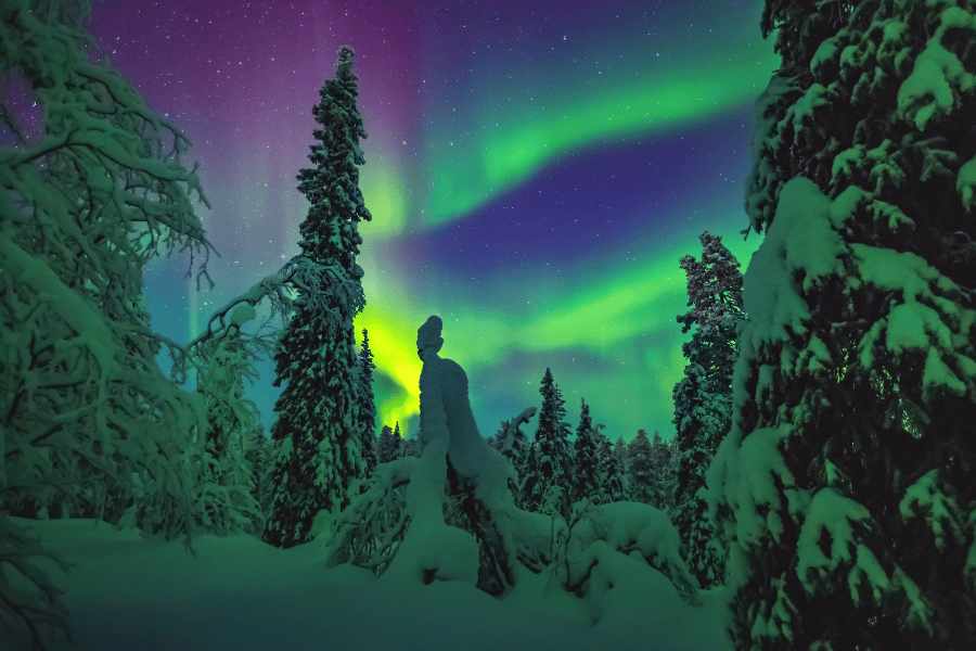 Auroras boreales en Laponia