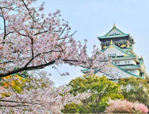 Los jardines japoneses más bonitos