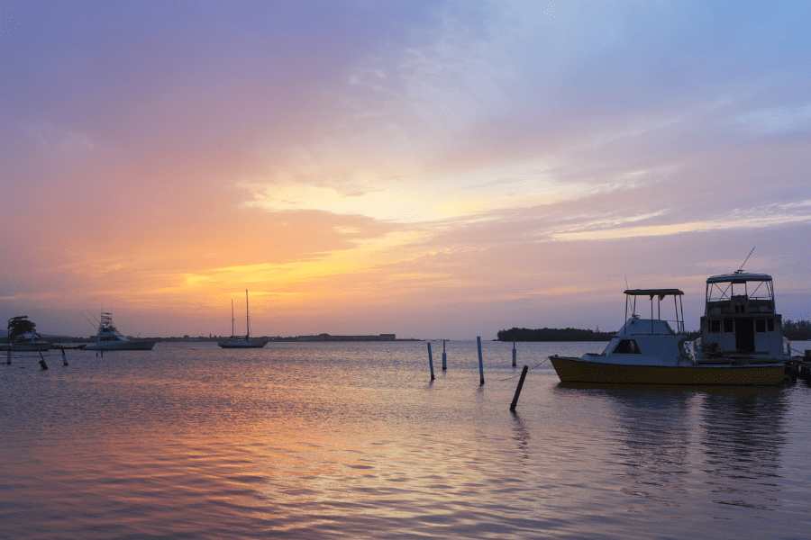 Laguna luminosa en Jamaica