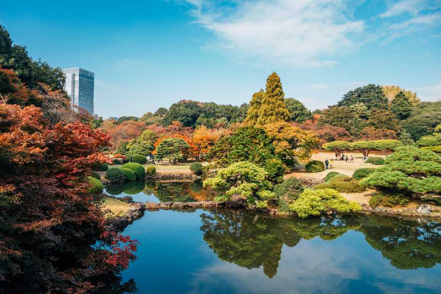 Jardín shinkuju gyoen en Japón