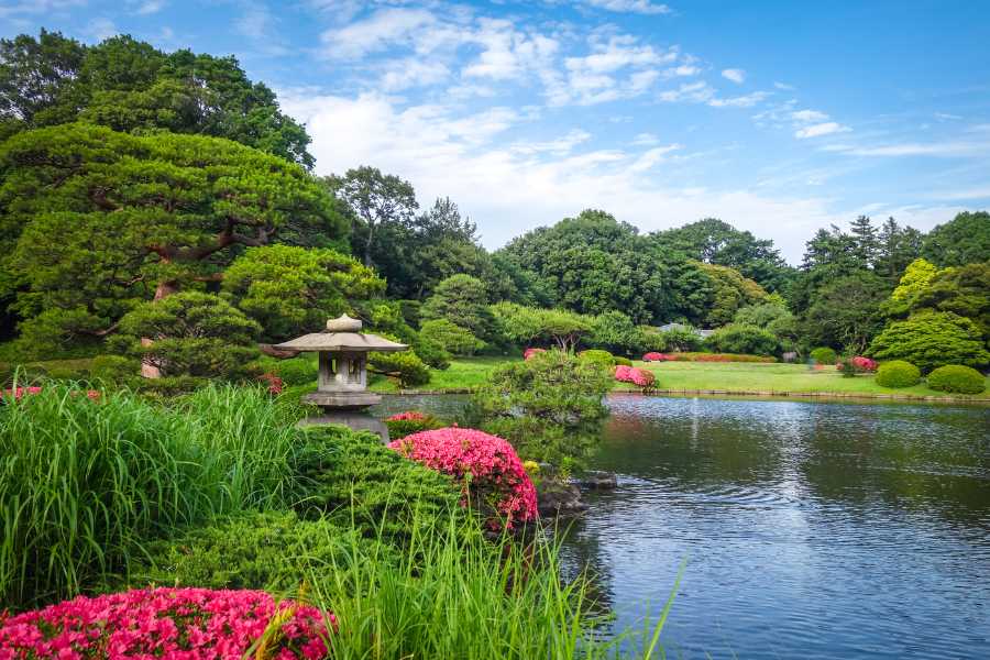 Shinjuku Gyoen jardin japones