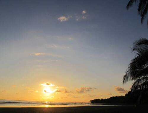 Uvita, Costa Rica, el paraíso con forma de ballena