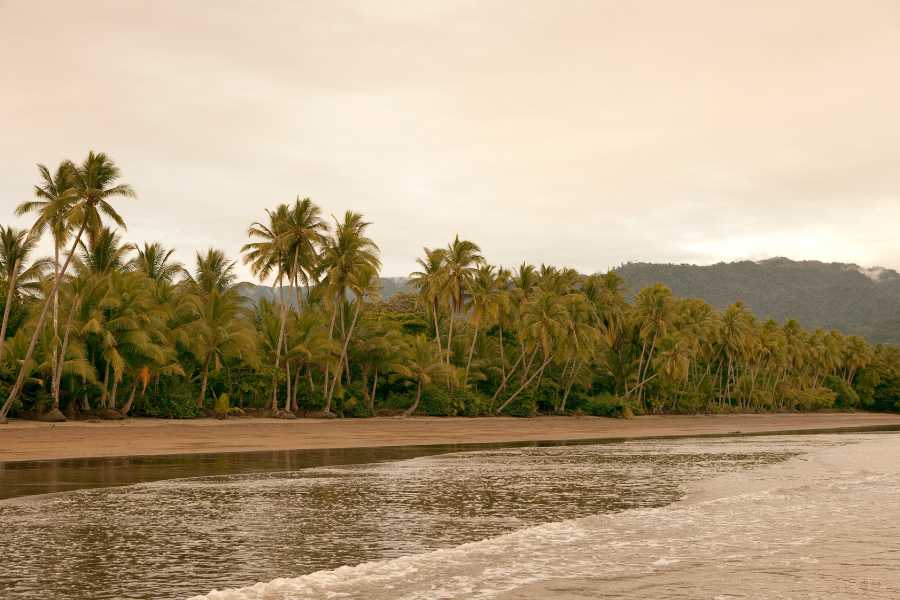 playa de la uvita en costa rica