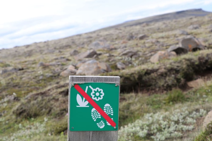 Cartel en Islandia que prohíbe pisar y arrancar la frágil vegetación como el musgo lanudo.