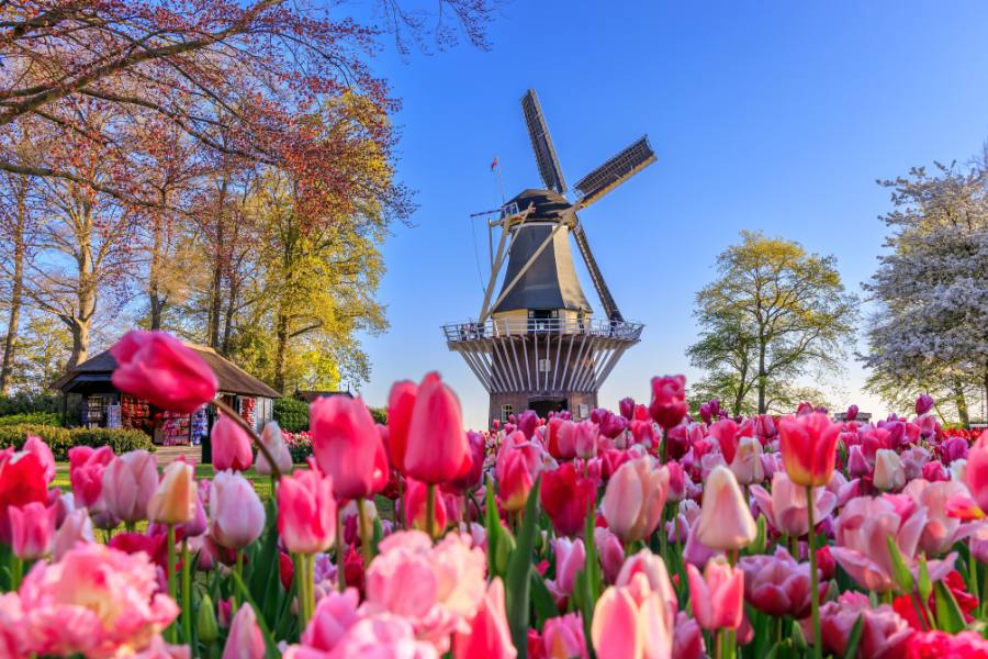 viajar en abril a amsterdam