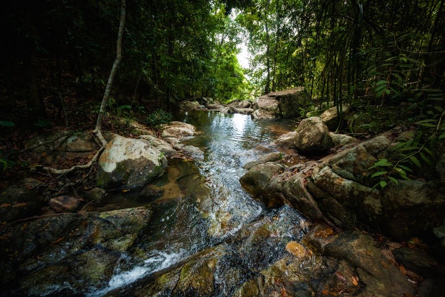 koh phangan