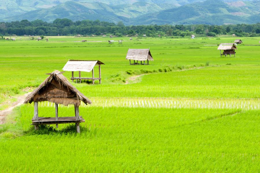 Luang Namtha, Laos