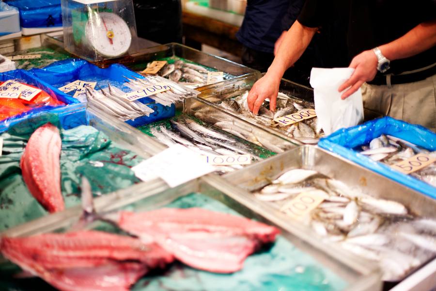 Toyosu, mercado tradicional de pescado en Japón