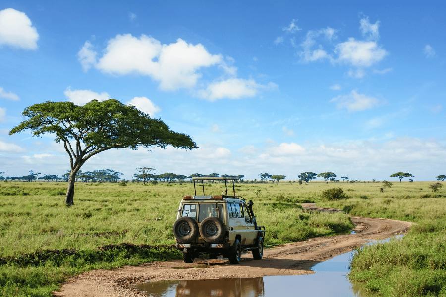 Un vehículo todoterreno de safari recorre un camino de tierra a través de la vasta sabana de Tanzania, con acacias de fondo y un cielo nublado.