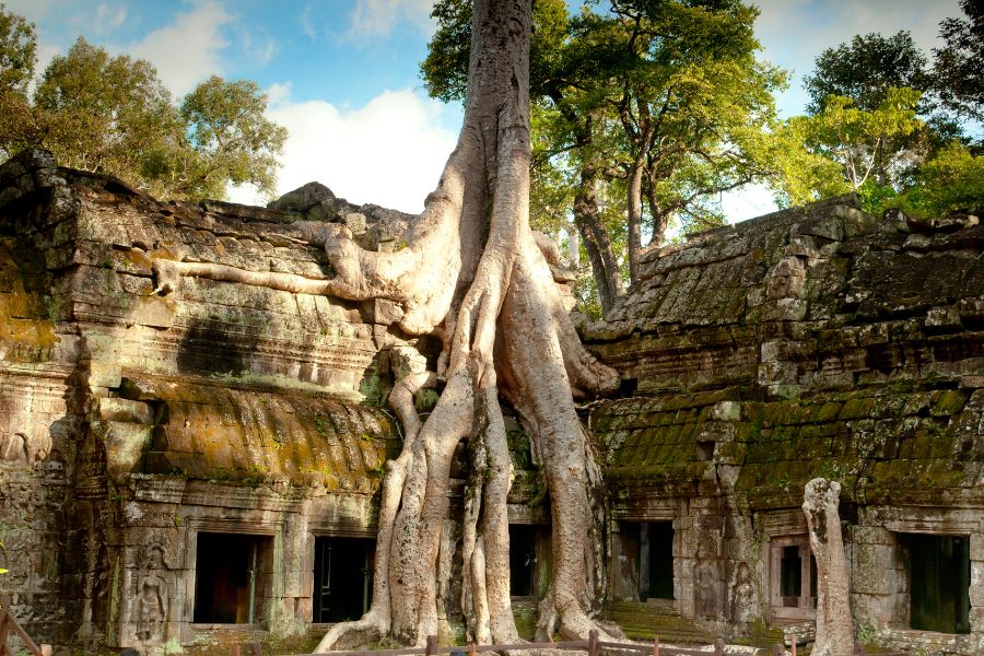 Ta Prohm, que ver en Camboya