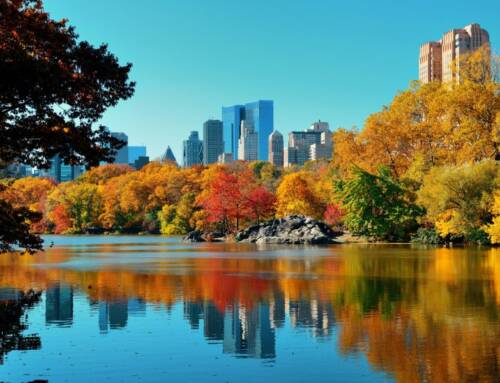 ¿Cuál es la mejor época para viajar a Nueva York?