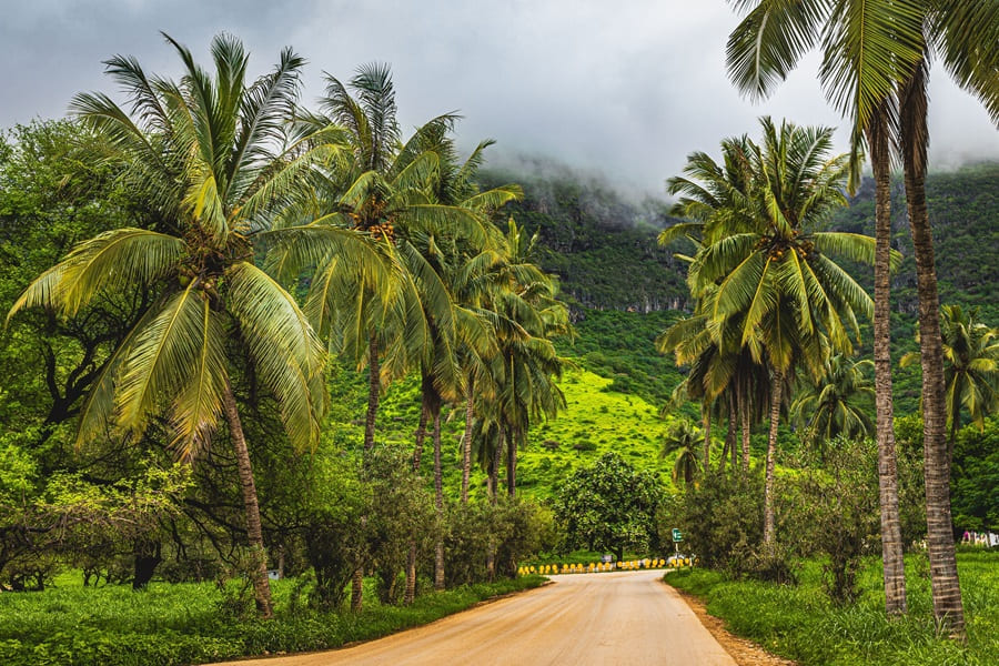 Salalah, Omán durante una temporada de Khareef.